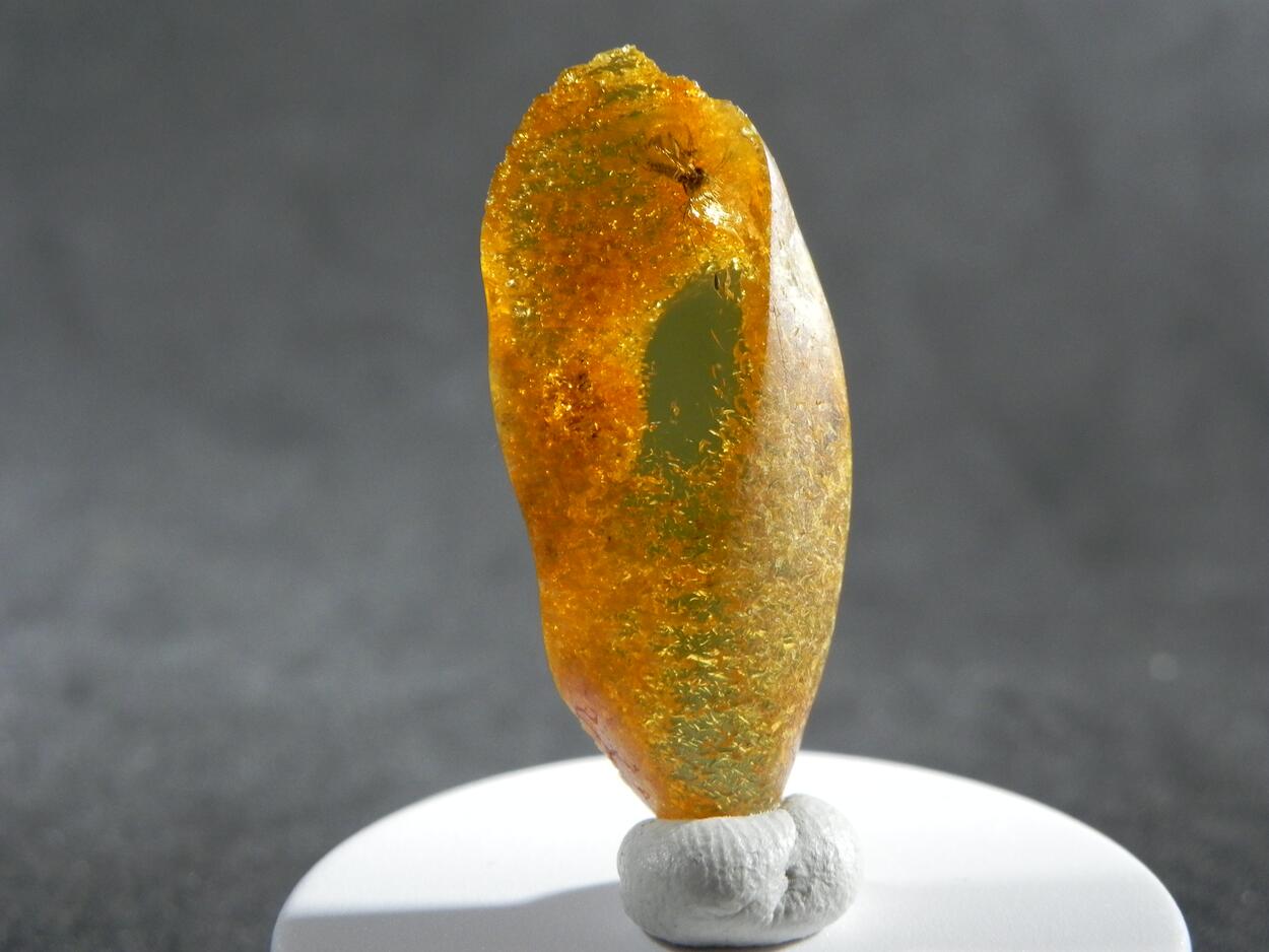 Amber With Inclusions