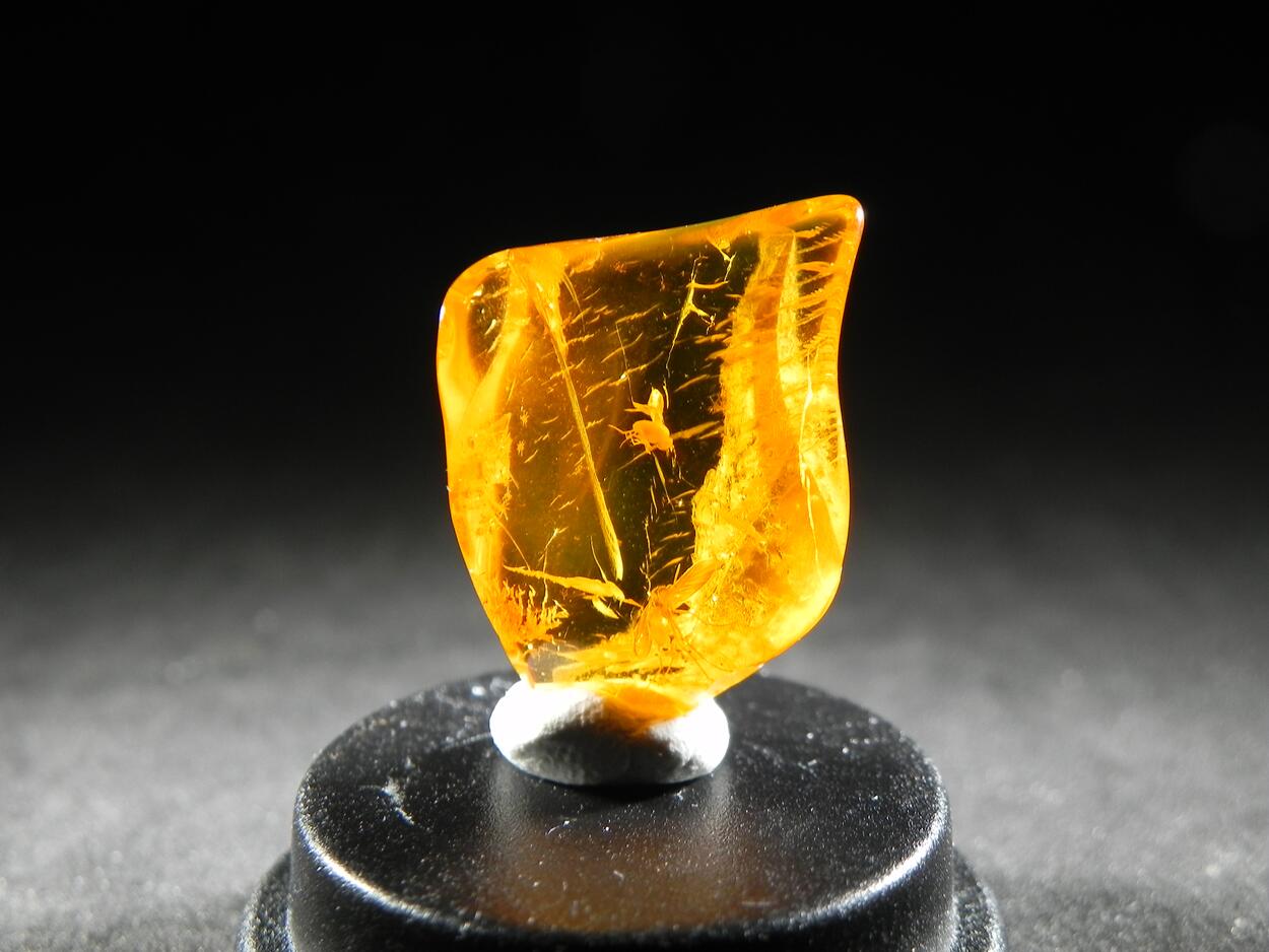 Amber With Inclusions