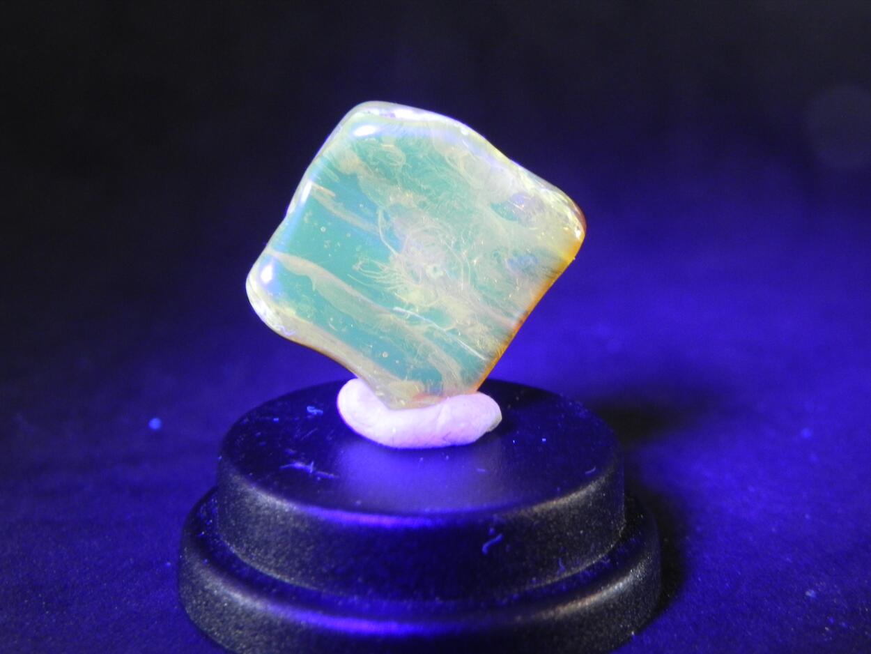 Amber With Inclusions