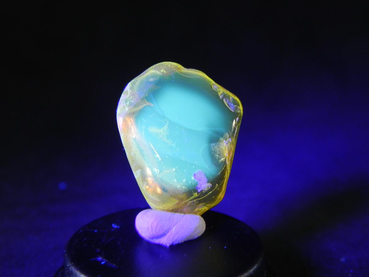 Amber With Inclusions