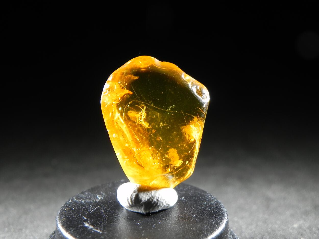 Amber With Inclusions