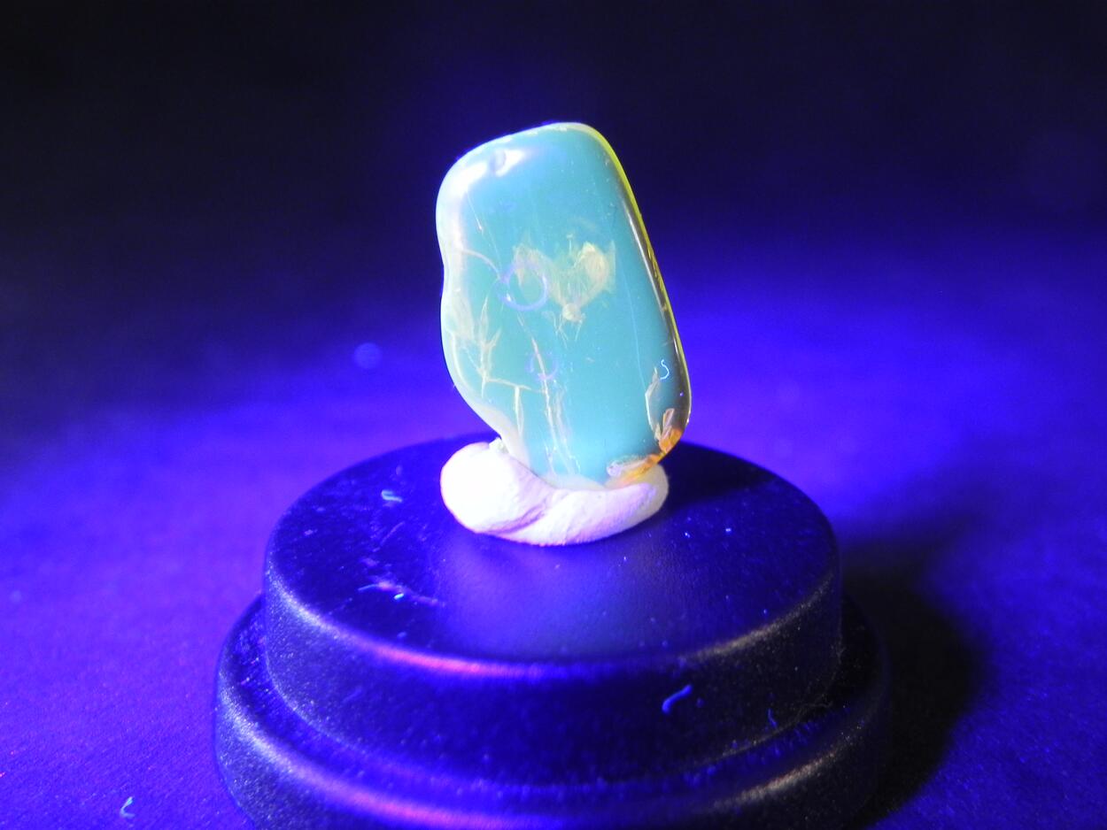 Amber With Inclusions