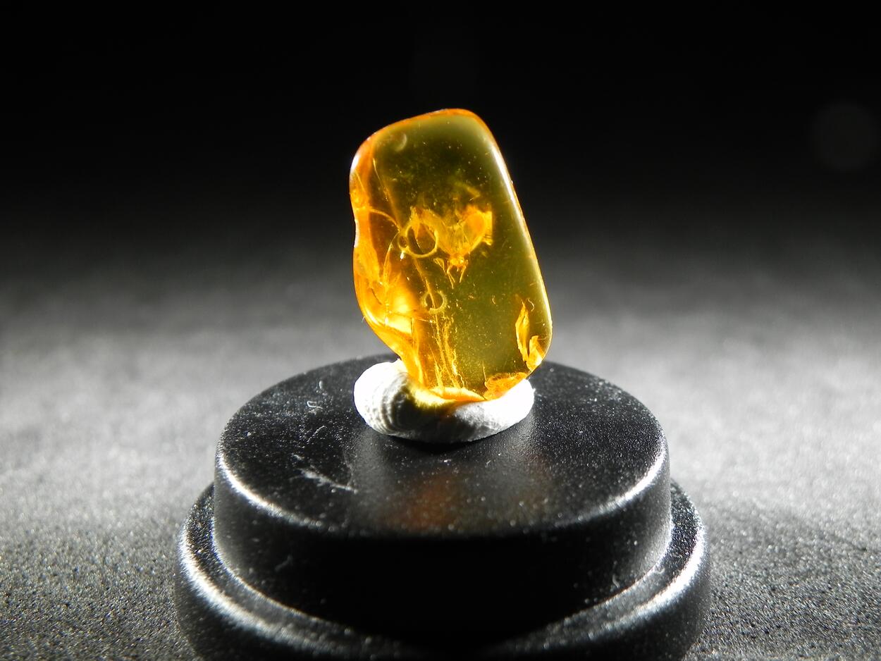 Amber With Inclusions