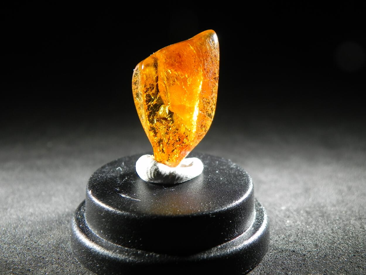 Amber With Inclusions
