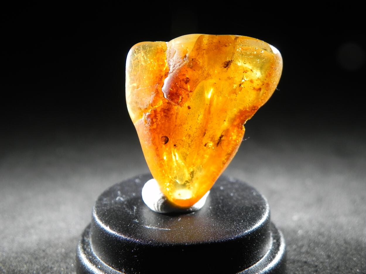 Amber With Inclusions