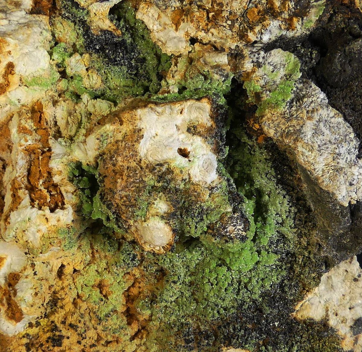 Pyromorphite & Descloizite
