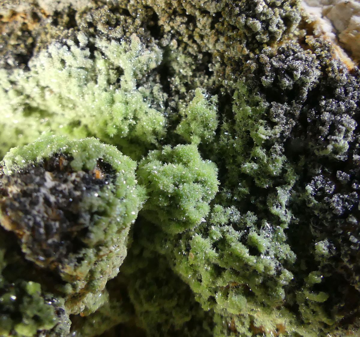 Pyromorphite & Descloizite