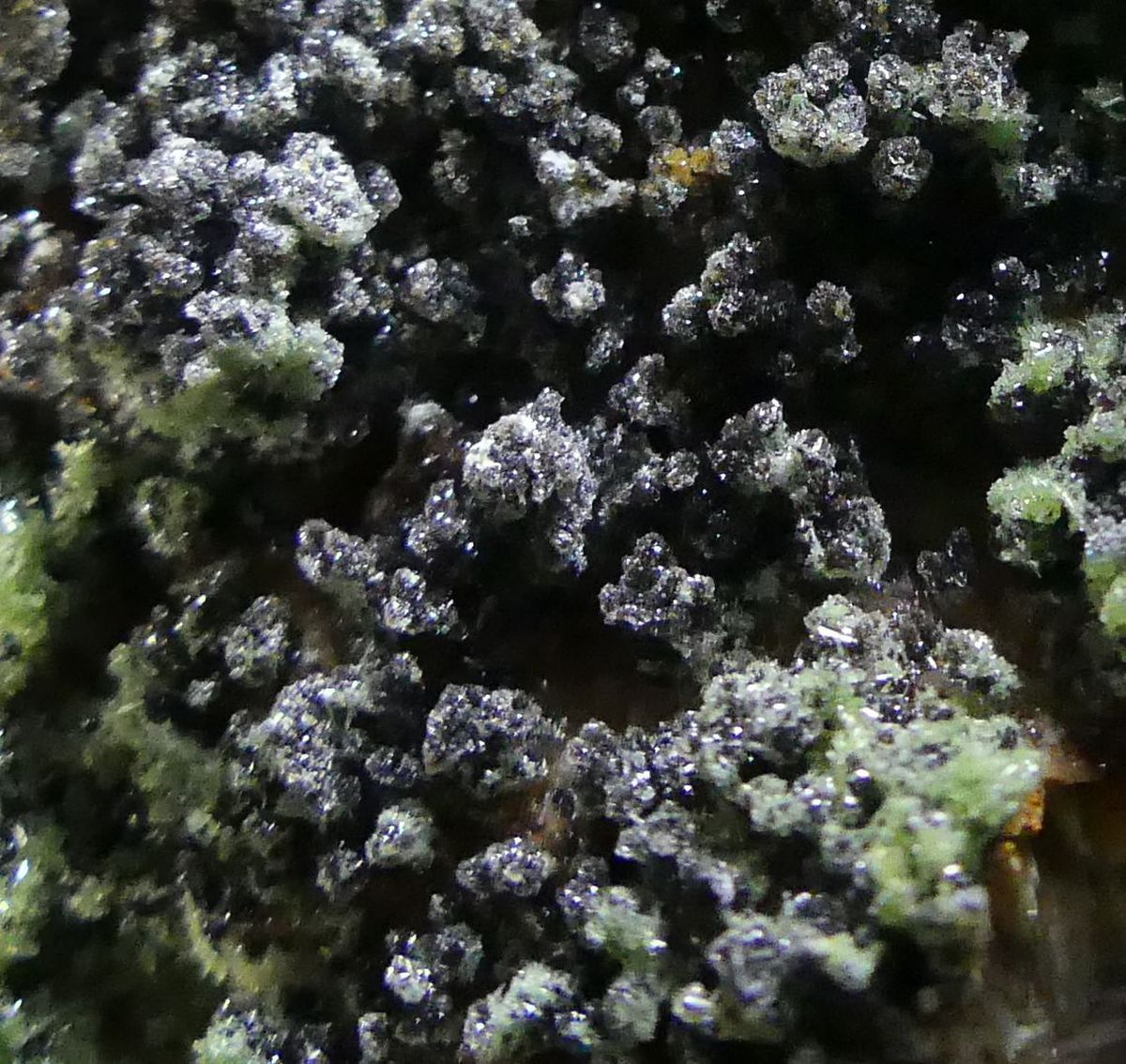 Pyromorphite & Descloizite