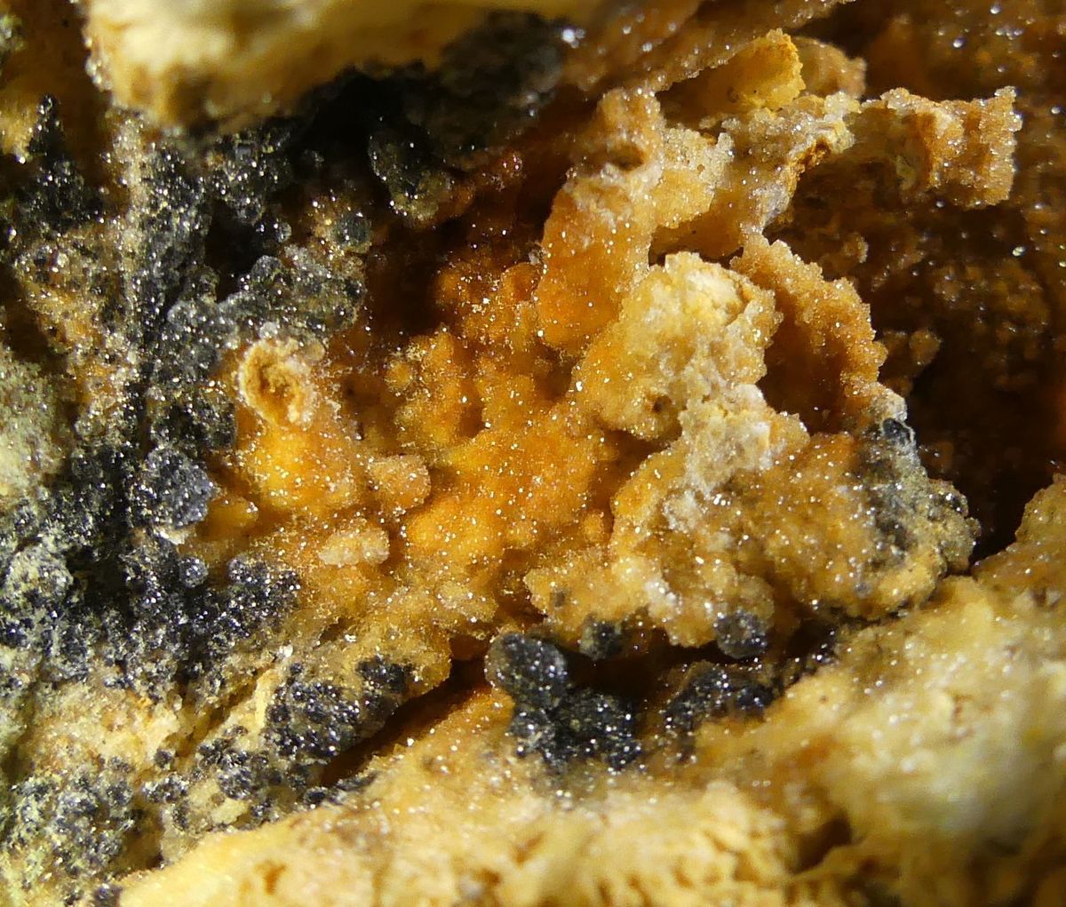 Pyromorphite & Descloizite