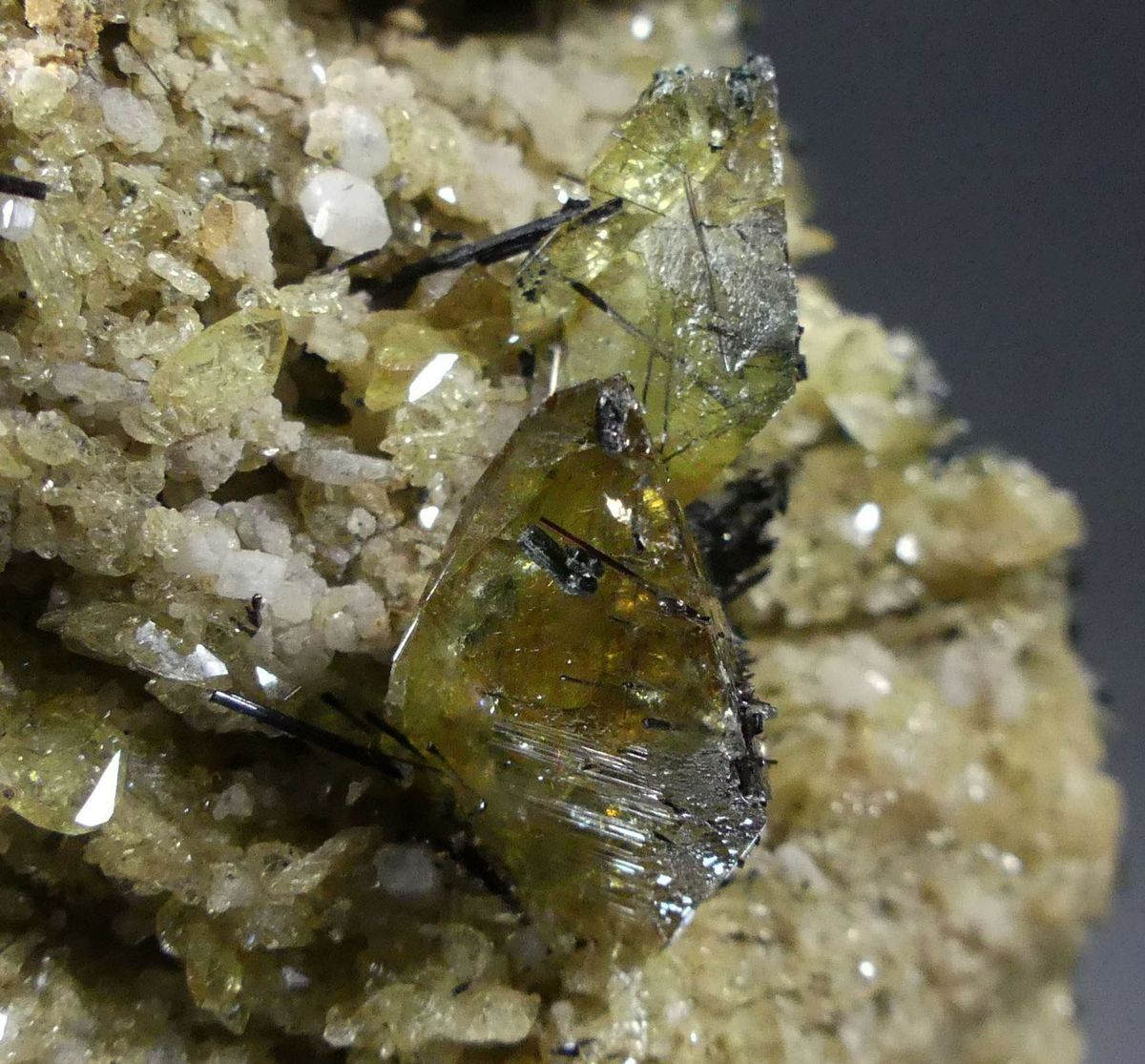 Titanite With Rutile Albite & Clinochlore