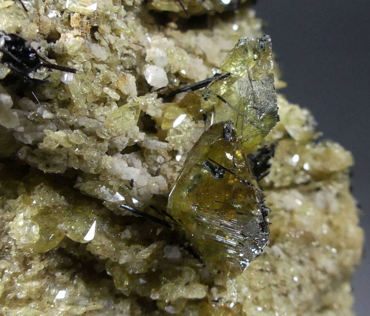 Titanite With Rutile Albite & Clinochlore