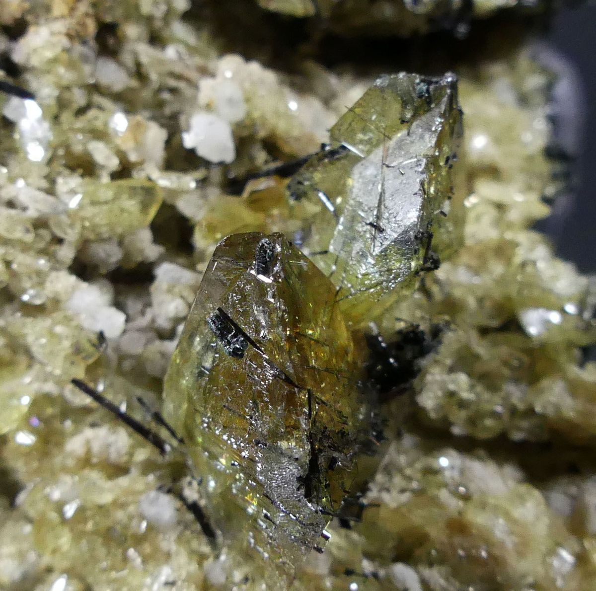 Titanite With Rutile Albite & Clinochlore