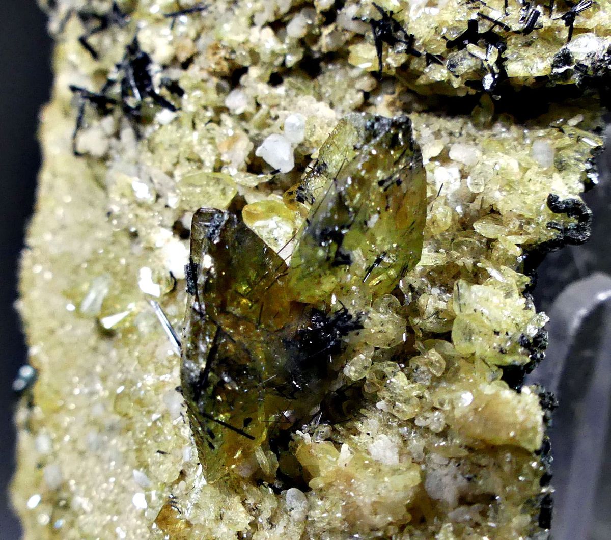 Titanite With Rutile Albite & Clinochlore