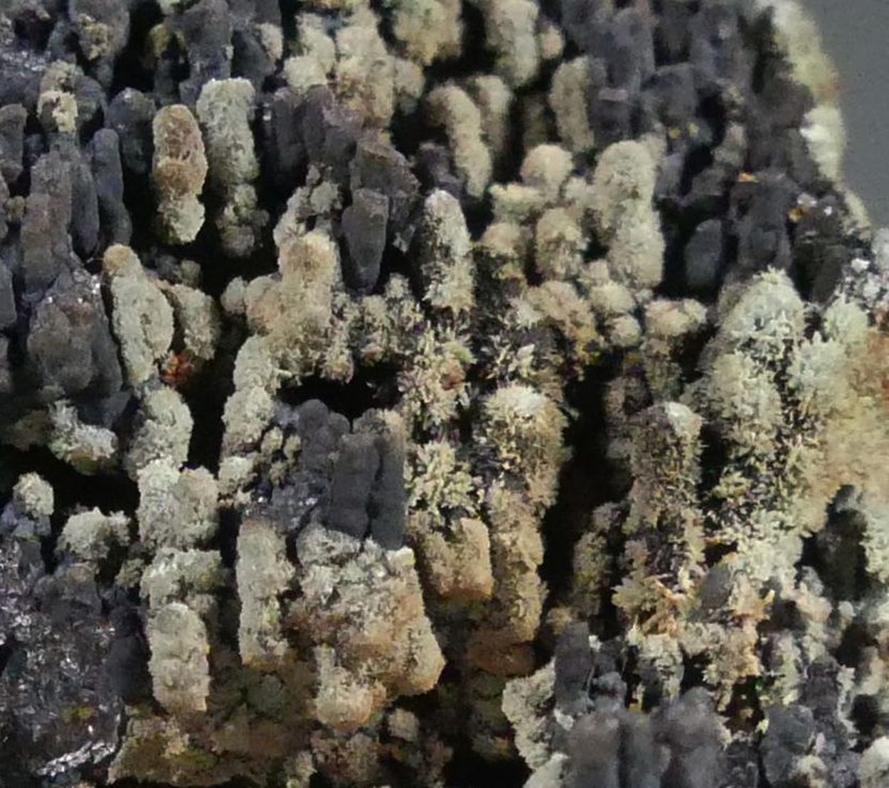 Florencite-(La) On Goethite