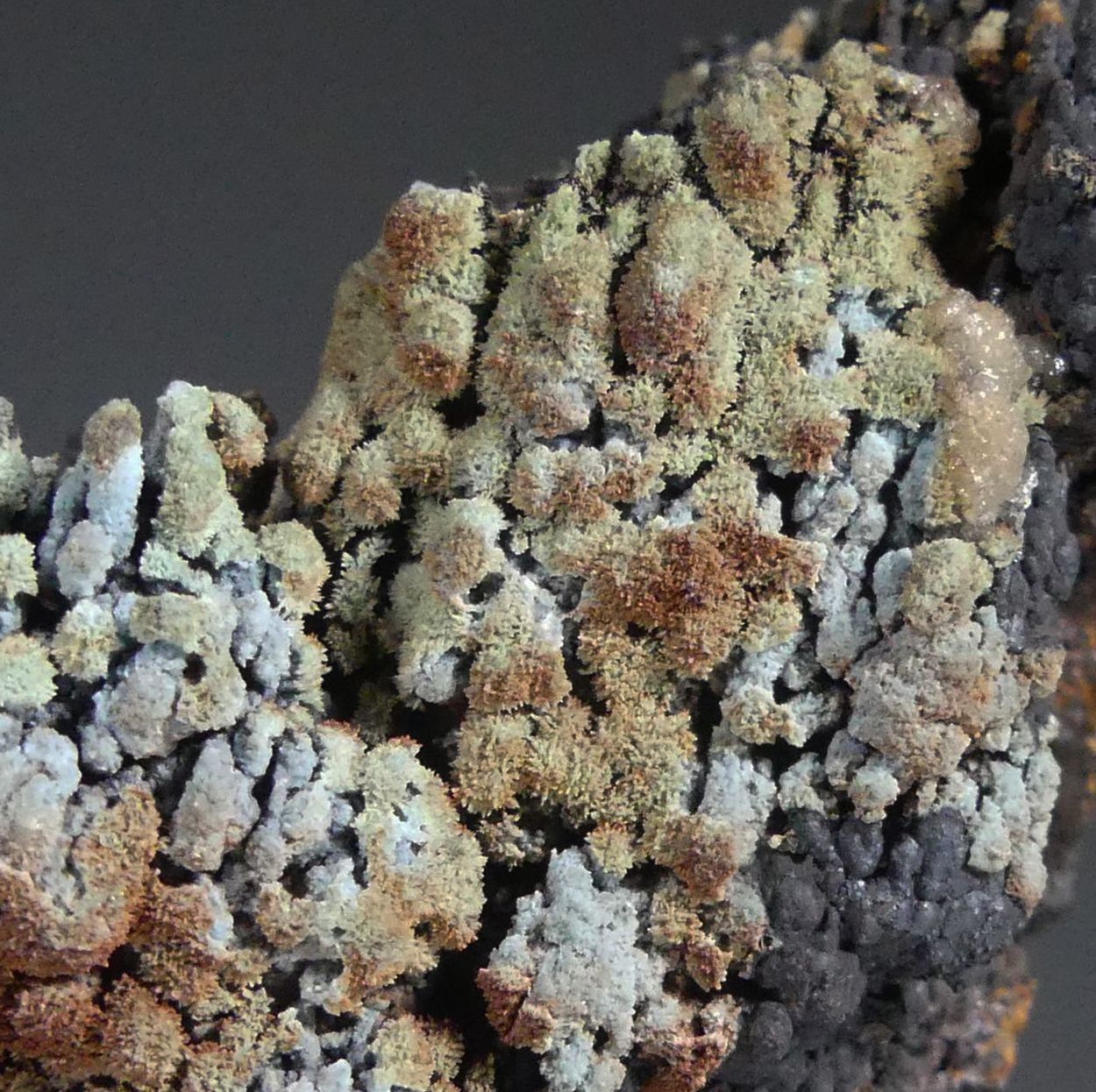Florencite-(La) On Goethite