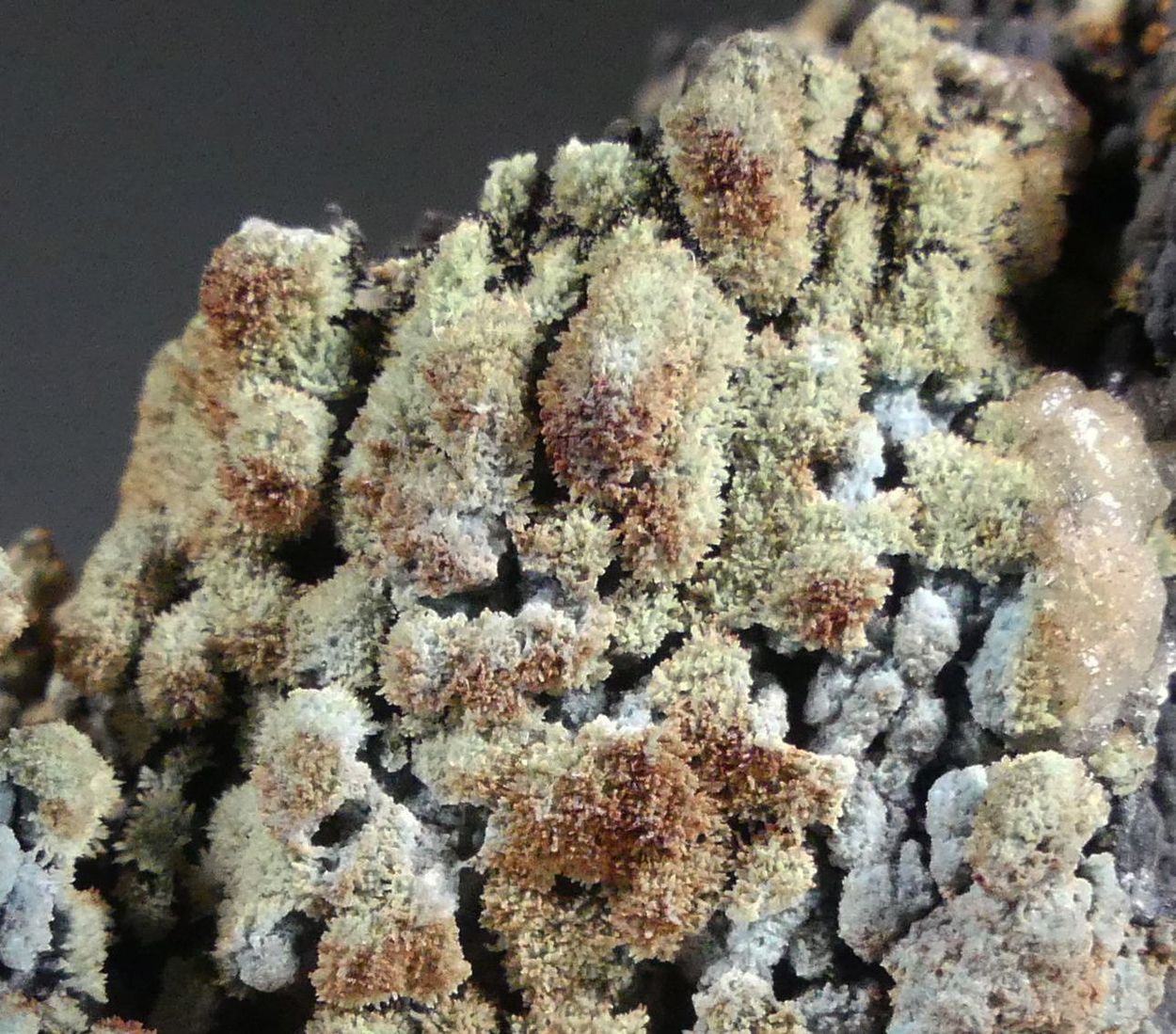 Florencite-(La) On Goethite