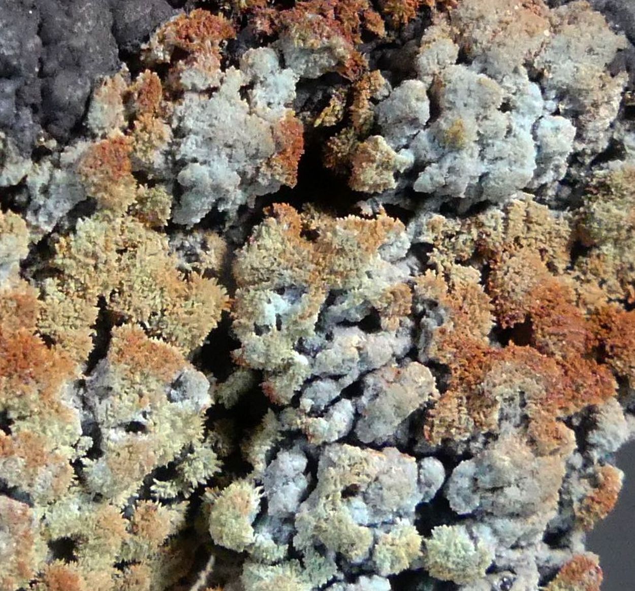 Florencite-(La) On Goethite