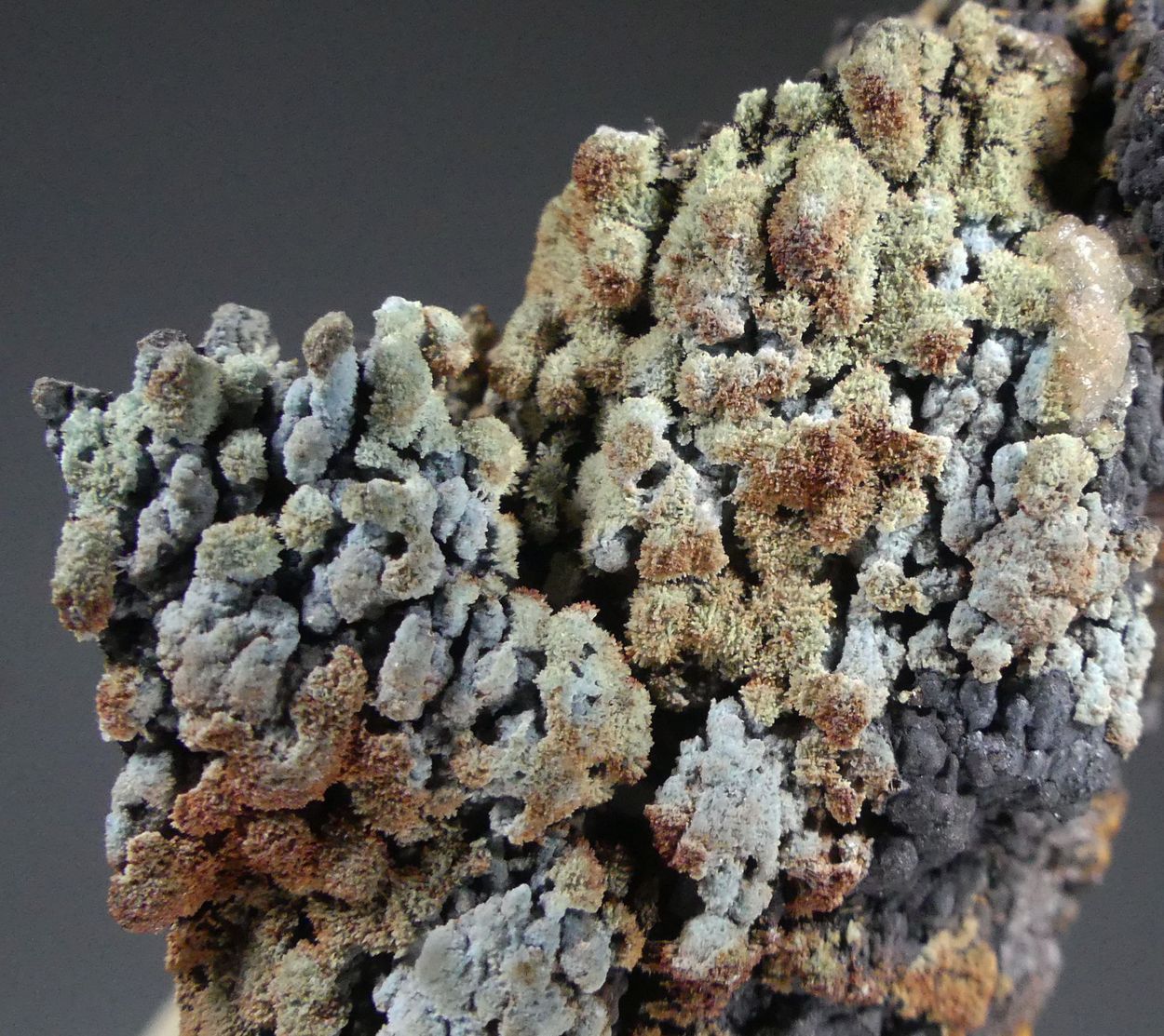 Florencite-(La) On Goethite