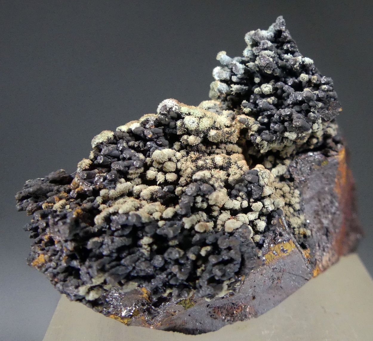 Florencite-(La) On Goethite