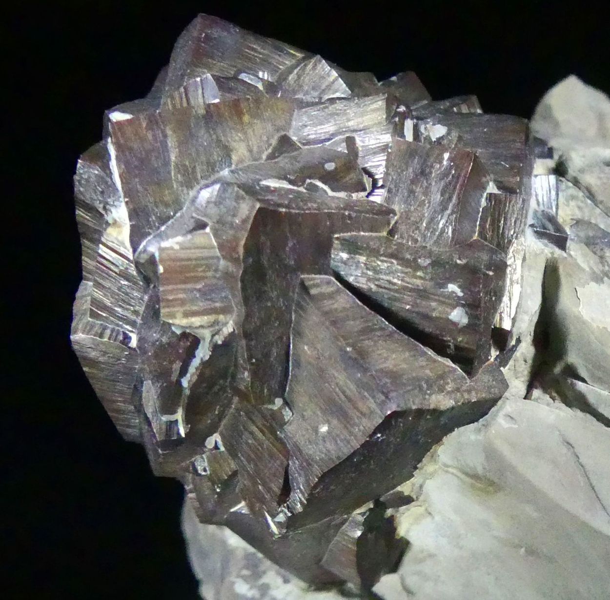 Goethite Psm Pyrite
