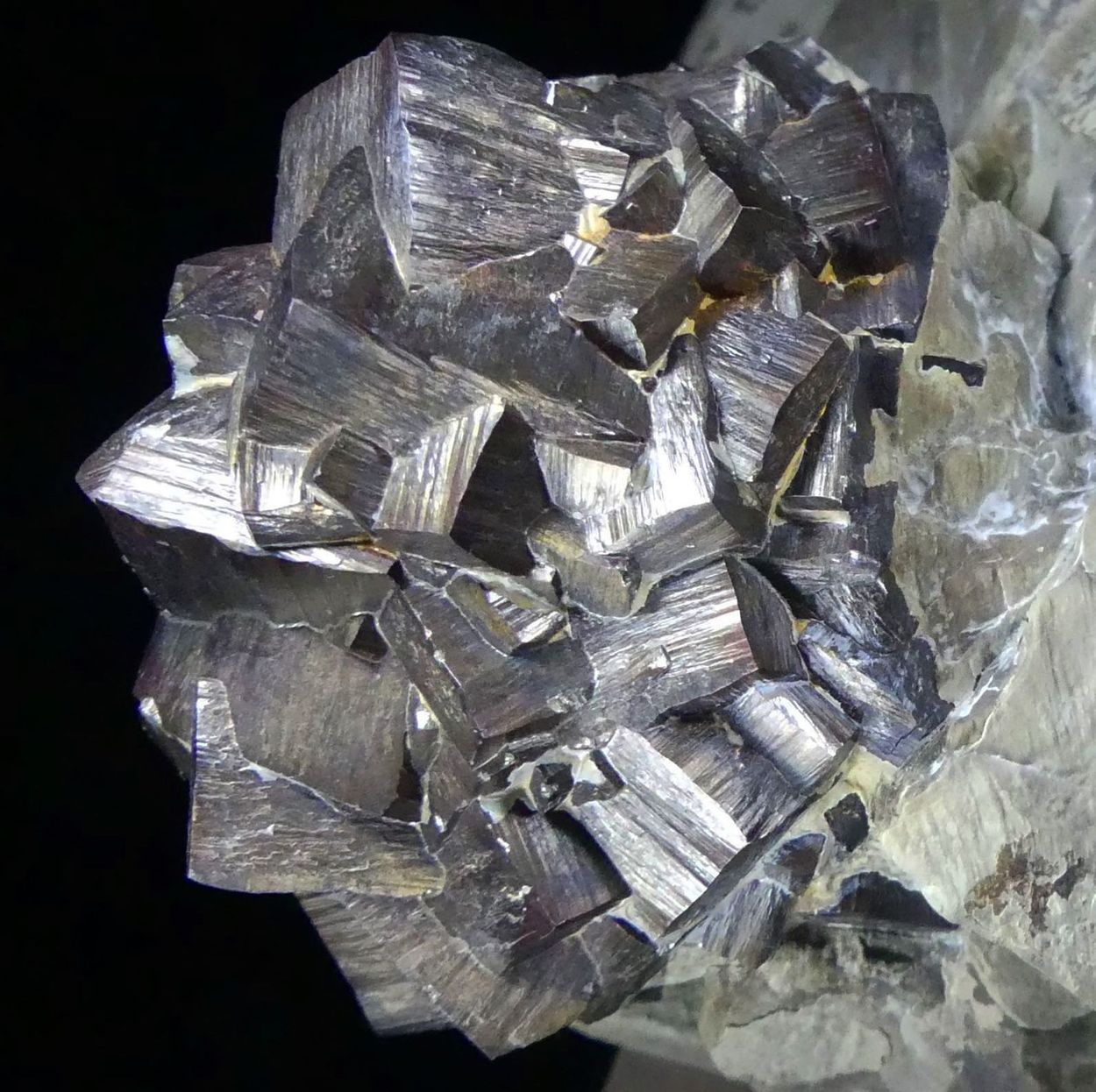Goethite Psm Pyrite