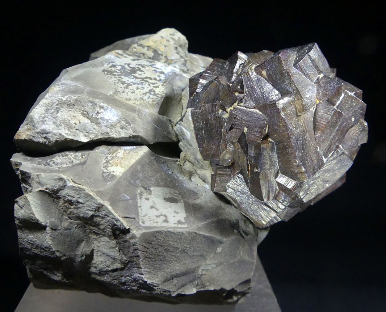 Goethite Psm Pyrite