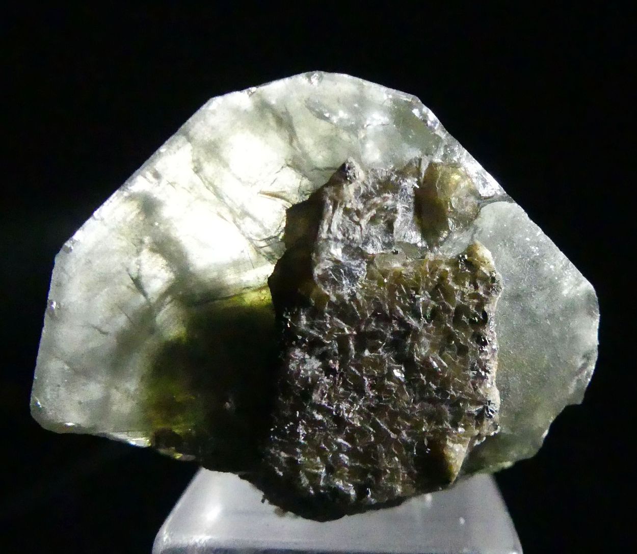 Fluorapatite