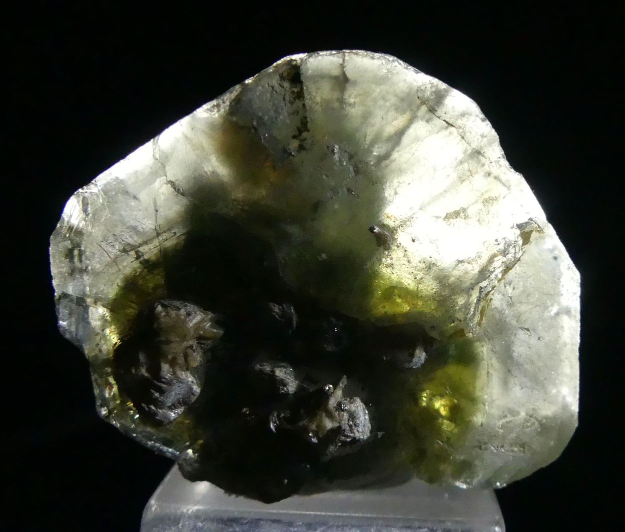 Fluorapatite