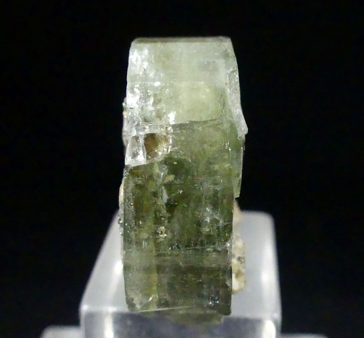 Fluorapatite
