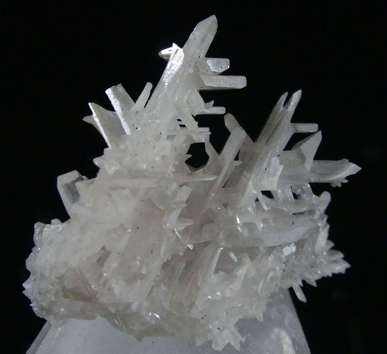 Cerussite