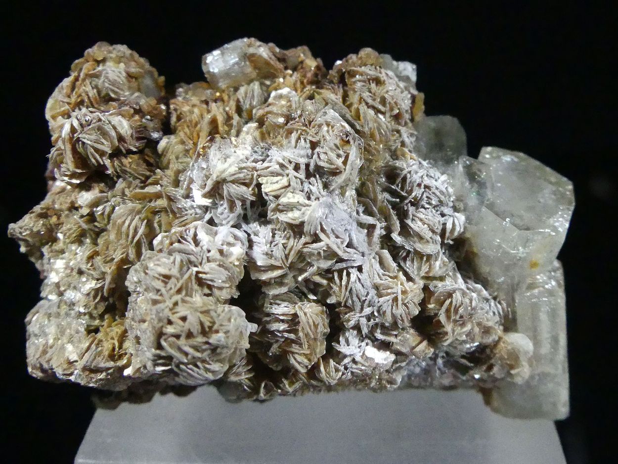 Fluorapatite Siderite & Muscovite