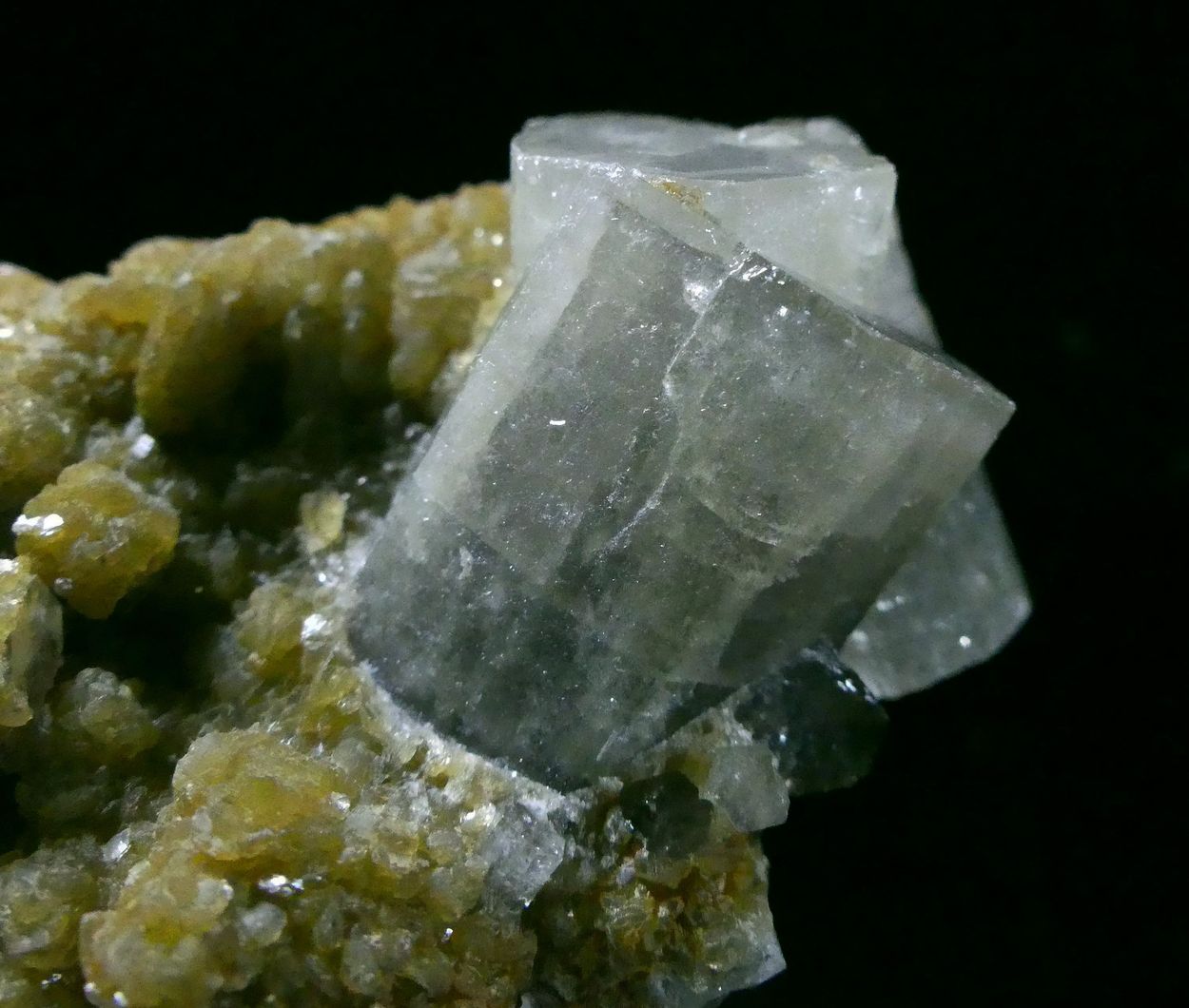 Fluorapatite Siderite & Muscovite