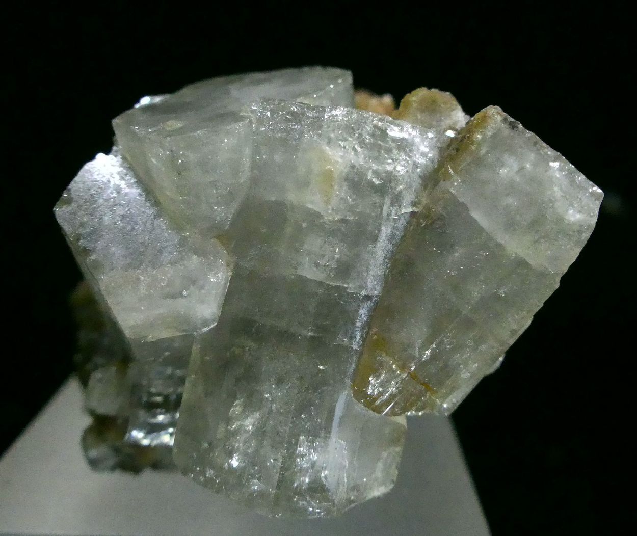 Fluorapatite Siderite & Muscovite