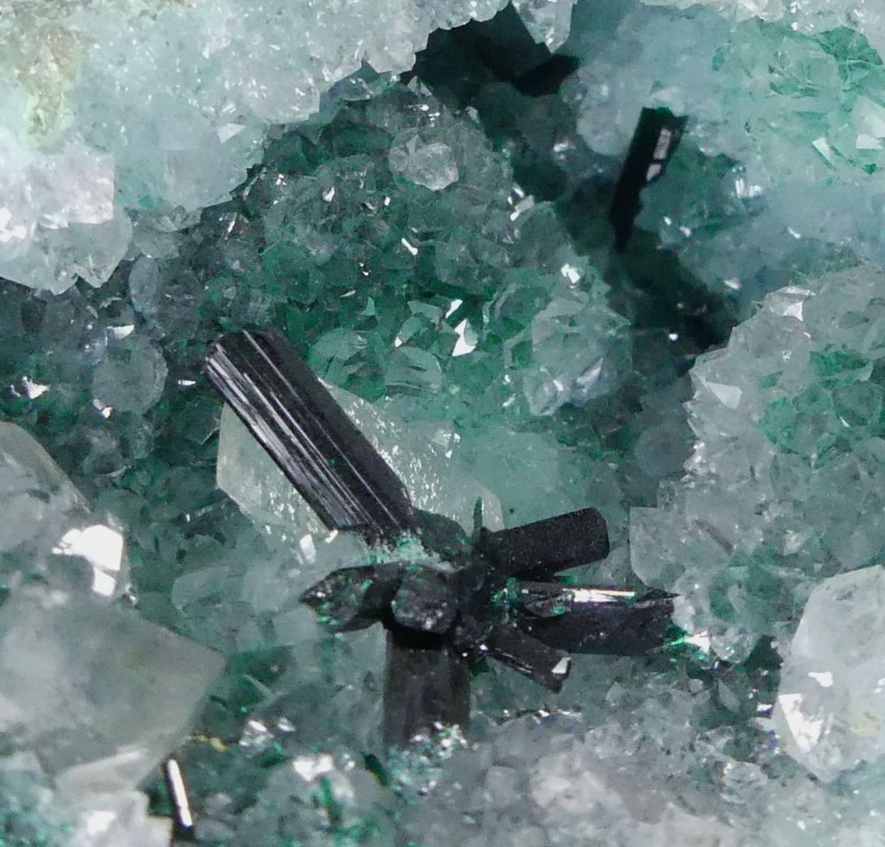 Atacamite On Quartz & Selenite