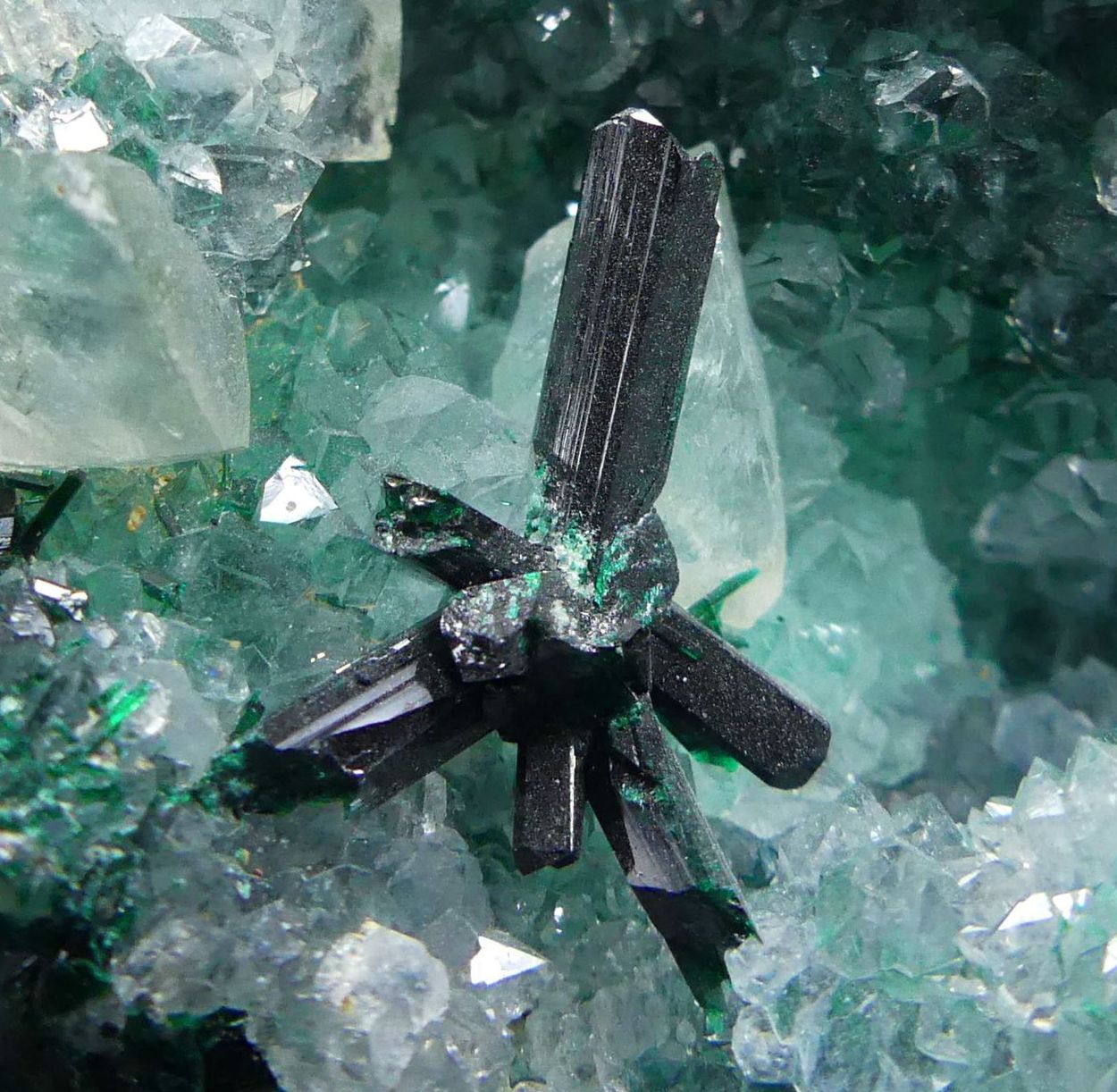 Atacamite On Quartz & Selenite