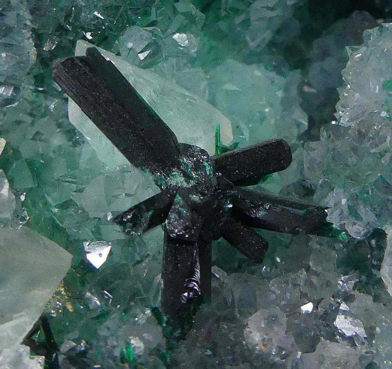 Atacamite On Quartz & Selenite