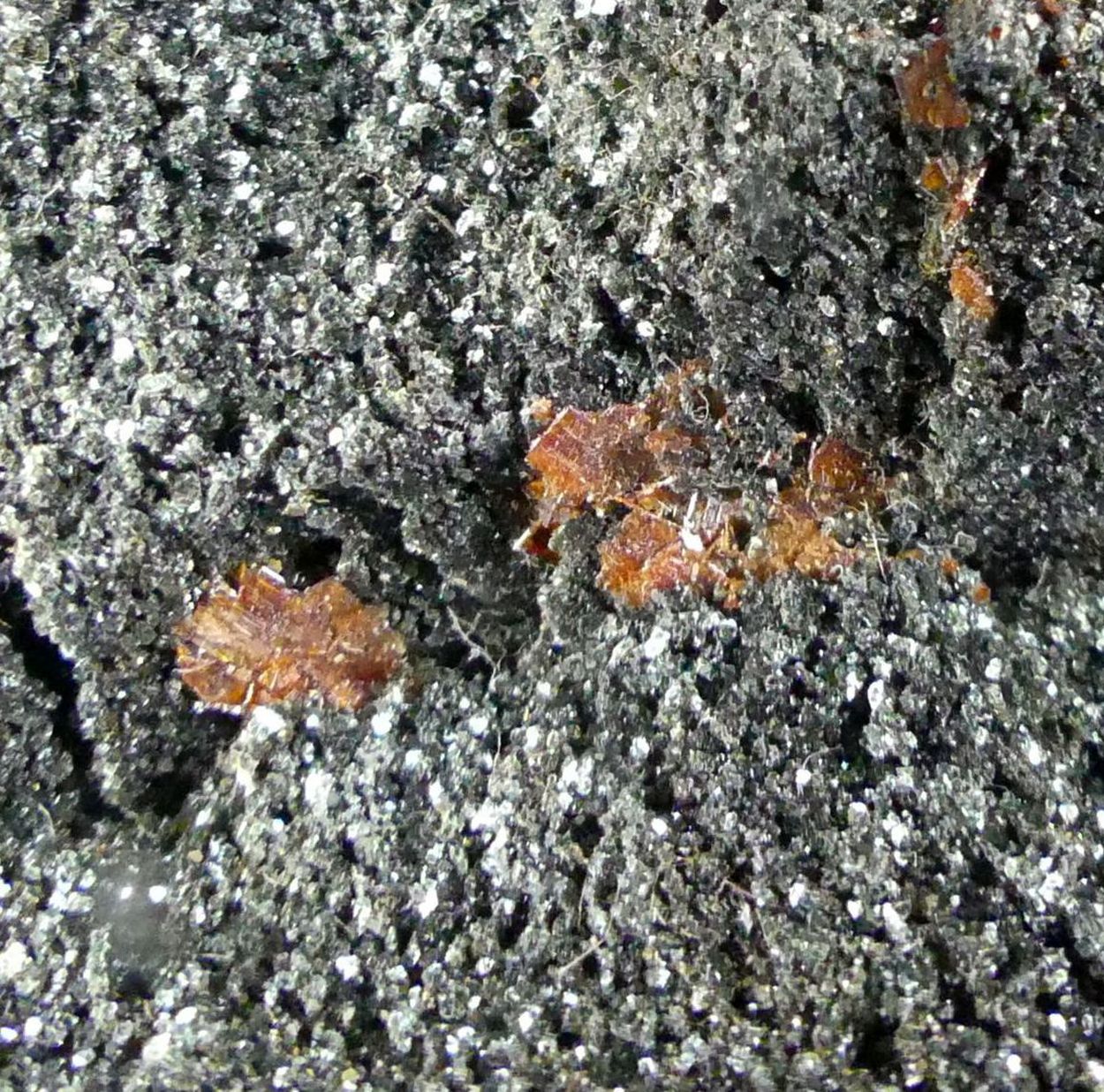 Brookite On Chlorite