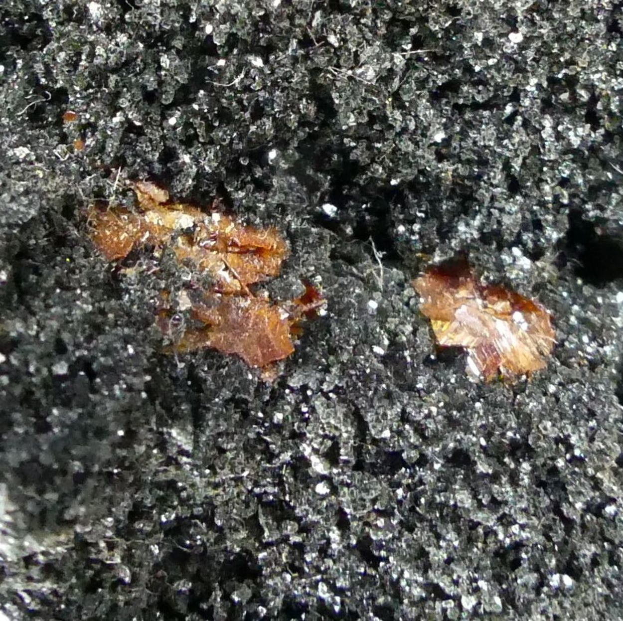 Brookite On Chlorite