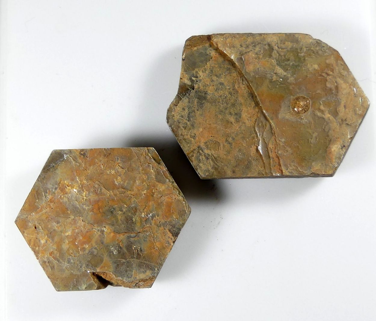 Muscovite