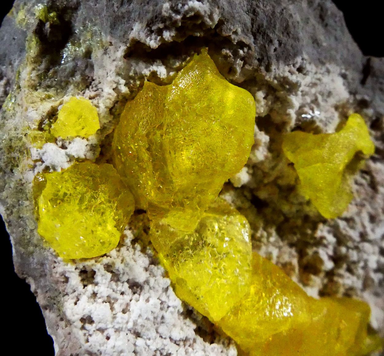 Native Sulphur