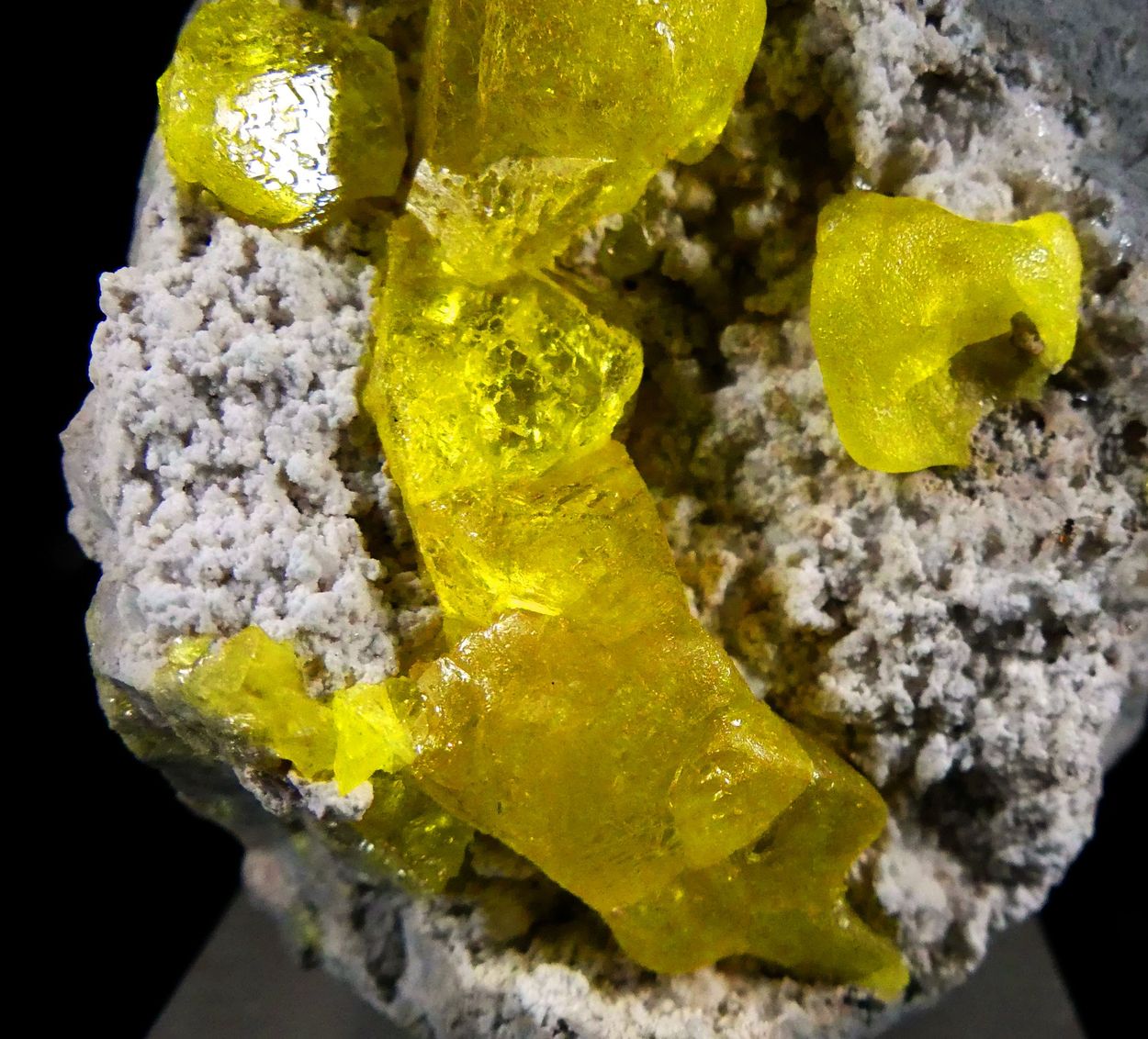 Native Sulphur