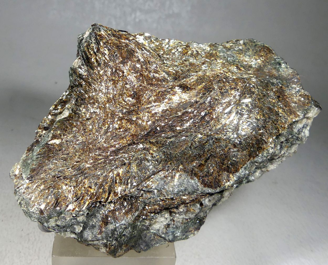 Astrophyllite