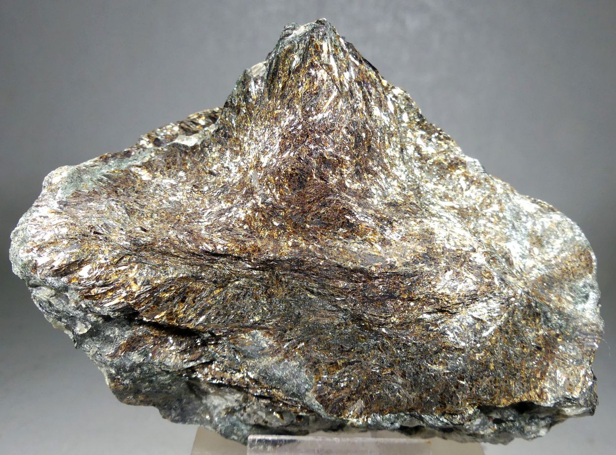 Astrophyllite