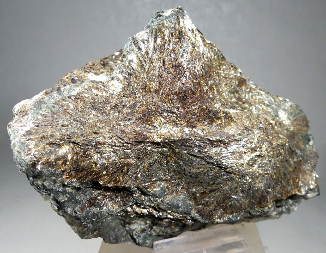 Astrophyllite