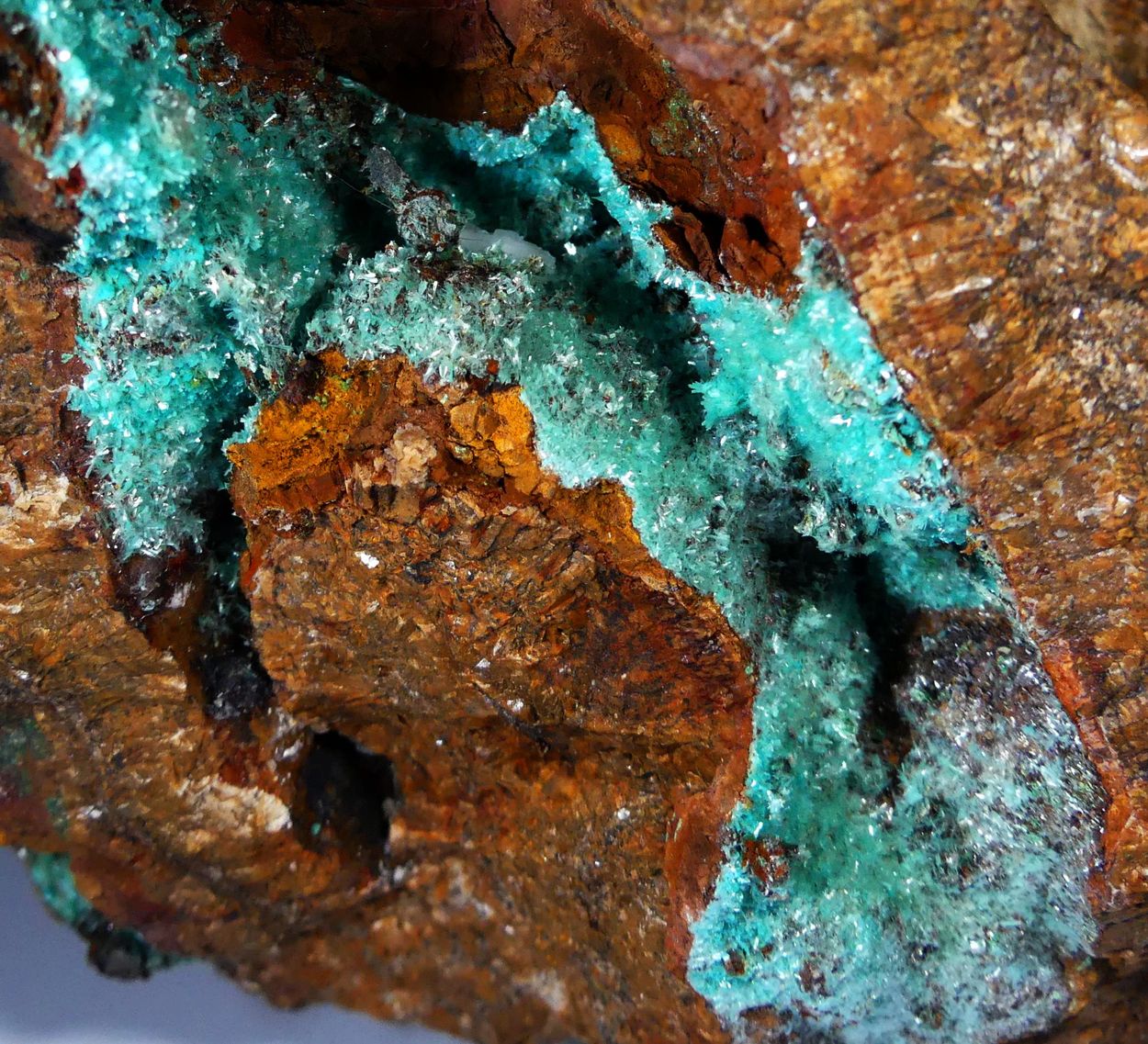 Aurichalcite