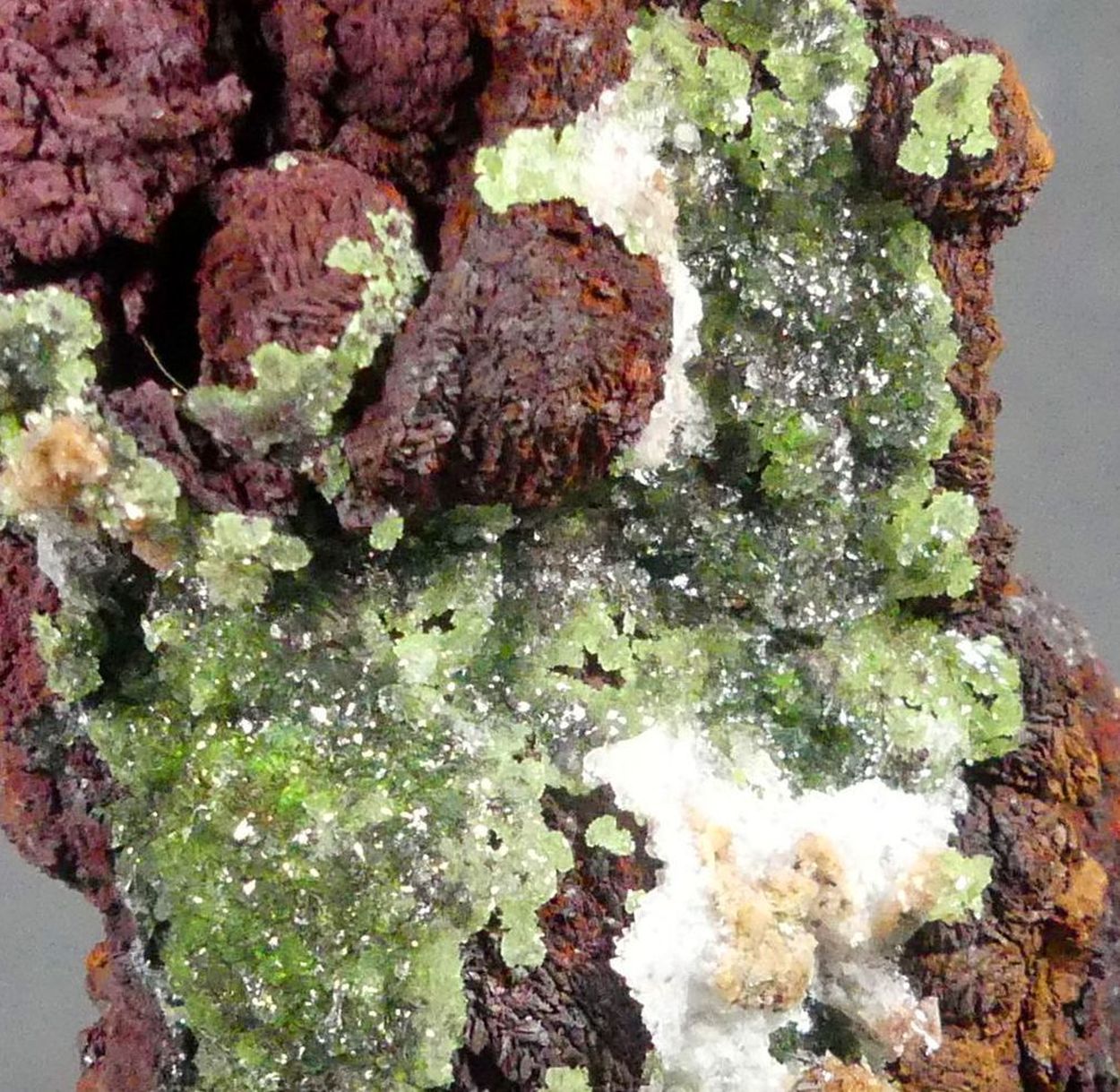 Austinite & Limonite Psm Siderite