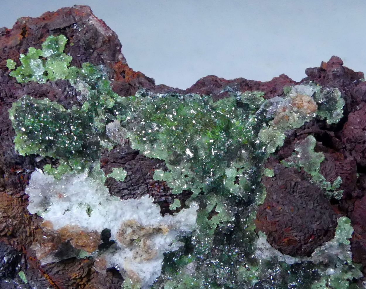 Austinite & Limonite Psm Siderite