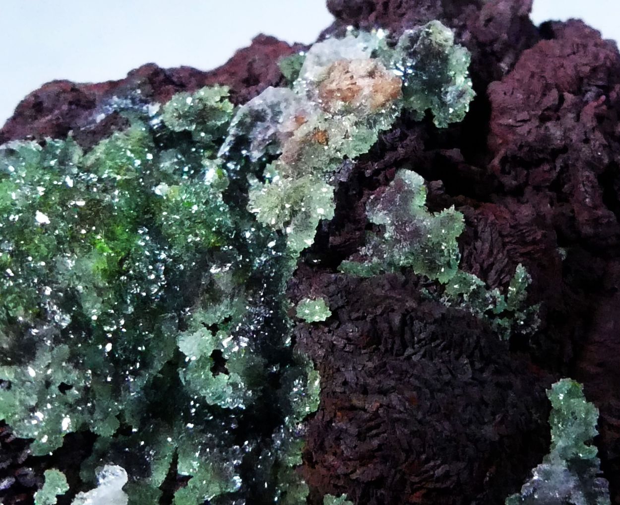 Austinite & Limonite Psm Siderite