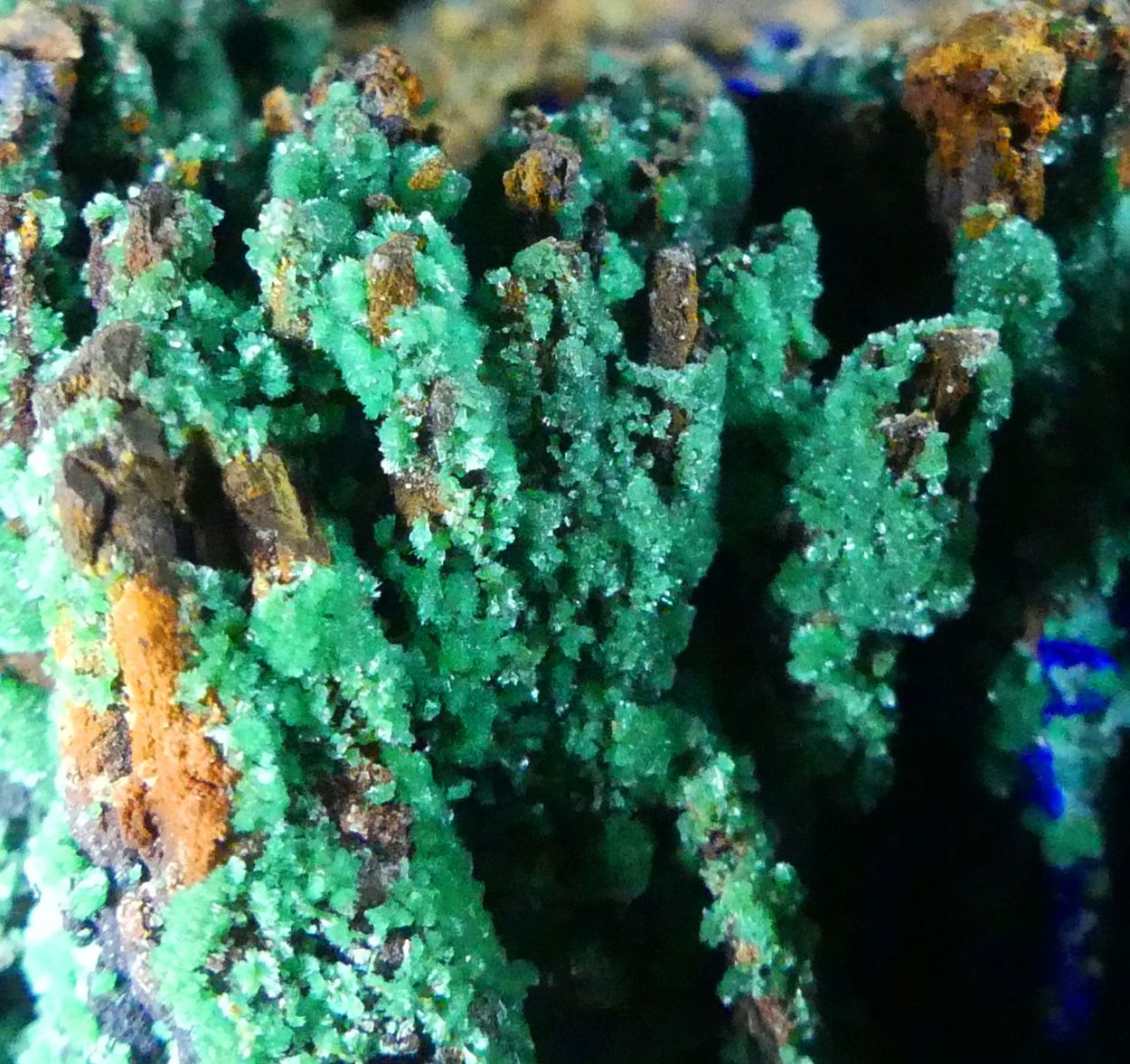 Olivenite & Azurite