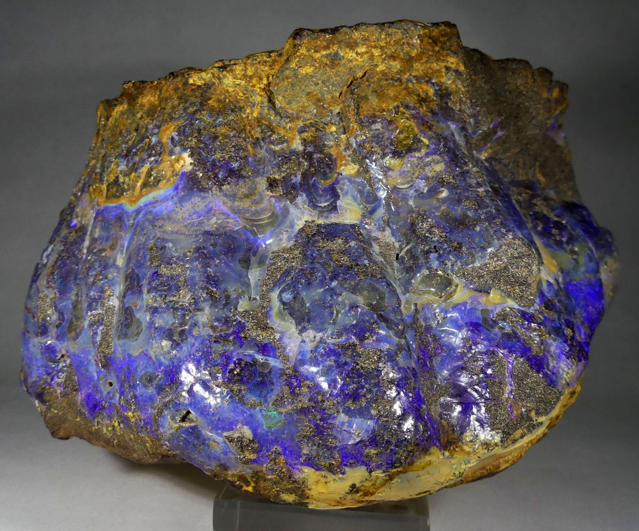 Boulder Opal